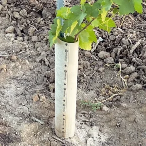 Déstockage protection des arbres